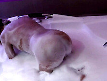 I'm Driven Crazy with Passion by My Stepbrother's Big Cock,  I Enjoy It in the Motel Jacuzzi