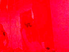 AMATEUR NYMPHOMANIAC WIFE