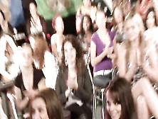 Horny sluts are giving blowjobs to hung strippers at this party