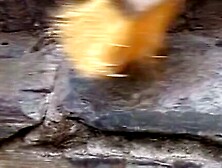 THE FLOOR IS ON FIRE! Channels Sweeping Session Descends into a WILD and SPONTANEOUS Orgy of Sweat,  Flesh,  and Lust