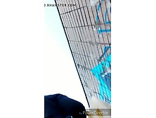 Upskirt - Soiled Panties