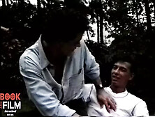 Girls From the Wild Side