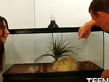 The Dirty Secret Brunette Maid Gets Her Punishment