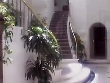 Penthouse Dream Girls