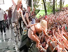 lady gaga licked and groped while crowd surfing
