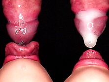 CLOSE UP: BEST Bottom View CONDOM BJ! She BROKE the CONDOM and STARTS PLAYING with SPUNK! ASMR 4K