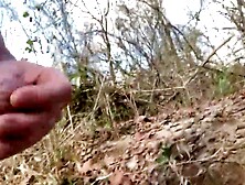 Warm winter day down on the water