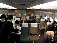 Hospitality Also Shy Oma Co Aviation 4 Reverse