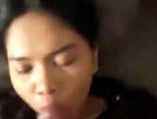 0895402901778 Pacar Baik Nurut Gaya Apa Aja