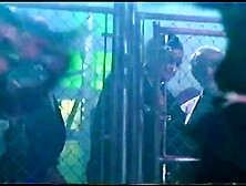 "Gladiator Cop" (1995)