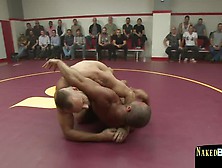 Muscular Studs Wrestling In Group Scene