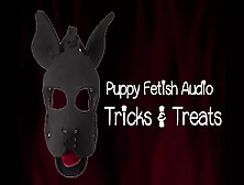 The Puppy Fetish Audio Version