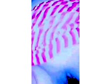 Pakistan's Sila Babu Banging Hard - Fingering & Anal Play Compilation