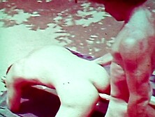 Vintagegayloops Video: Backyard Lust