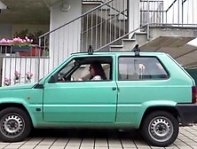 BOUNCING AN OLD PANDA