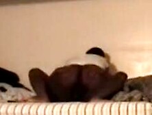 Black Aunt And Uncle Shagging In Guest Room