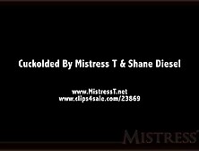 Shane Diesel Mistress T