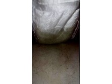 Honey fills up diaper with void urine until it overflows out the side