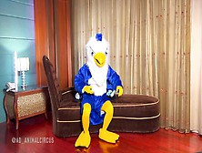 Mascot Eagle Masturbation With Zentai