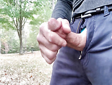 Wanking My Supah Rigid Meatpipe In Public At The Park On The Bench,  Jizzing In Public