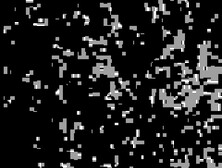 Hear my neighbours fucking