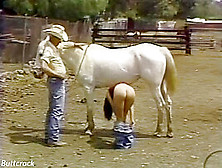 Brinke Stevens bottomless bare ass prank