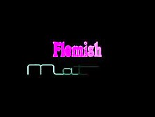 Flemish (Belgian) mature