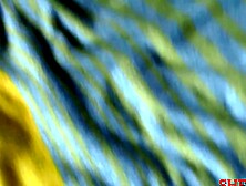 Nerdy babe impaled on dong