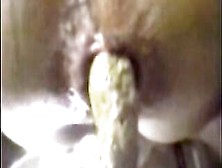 Dirty Hard Poop In Hot Closeup