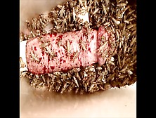 Crickets at 8X speed