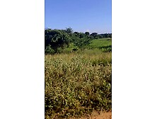 Meaty Pop-Shot Outdoor around Temples