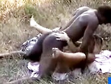 French Slut Fucks Black Guy Outdoors