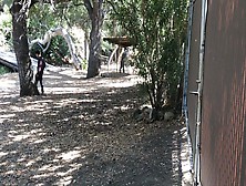 Girl Gets Her Ball From The Neighbor And Gets A Good Balling