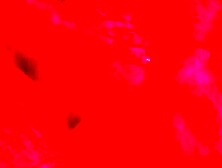 dad screwing his sex serf in the dungeon