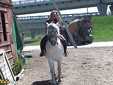 Willa in oral and hardcore shagging of a hot amateur couple