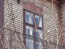 Sexy Luna e l'Anale di Fine Anno (Full Movie)