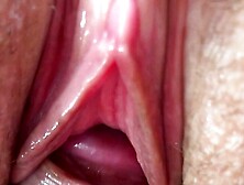 Lick her Pussy. Cock Rubbing her Clitoris. Fuck and Cum inside. Close-Up.