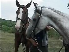 Fabulous Outdoor Video With Hairy, College Scenes