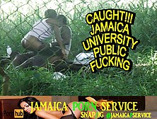 The Sleazy College Lifestyle.  Jamaican Teenie Caught Having Sex At Hope Garden Park In Papine