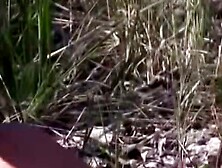 Nicoletta Reinvented A Desert Rebellion