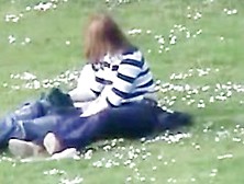 captures hand job at the park