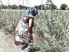 Komal was weeping in the sugarcane field,  the owner secretly came and caught and fucked the house.