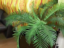 Lana Vegas - Ralles Bumsburo