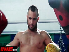 Alphamales. Com - Threesome At The Boxing Club