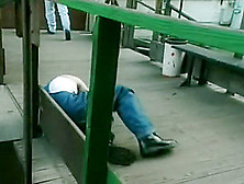 Dyanna Lauren,  Jenteal,  Tia Bella,  Janine,  Leslie GLass,  Heather Hunter,  Kobe Tai,  Lexus Locklear