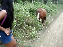 Thai Teen Peru to Ecuador horse cock to creampie