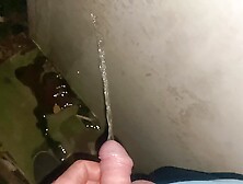 My Wife Pisses In My Hand(Compilation)