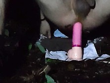 Dildo Scat Fun In The Woods