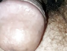 Worm in cock