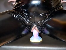 Skank in latex jerk hatd her plump cunt with colored dildo for daddy's monstrous wang